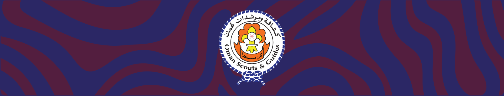 About OSG